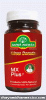 mx-plus-linea-dorada-shaya-michan